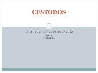 cestodos