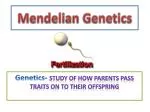 Mendelian Genetics - slide 1