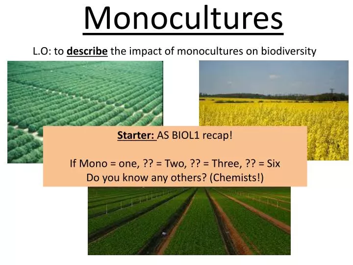 monocultures