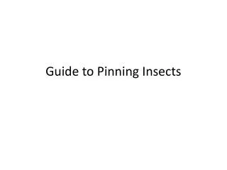 Guide to Pinning Insects