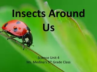 Insects Around Us Science Unit 4 Ms. Medina's 5 th Grade Class