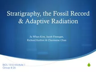 Stratigraphy, the Fossil Record &amp; Adaptive Radiation
