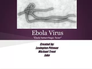 Ebola Virus &quot;Ebola hemorrhagic fever &quot;