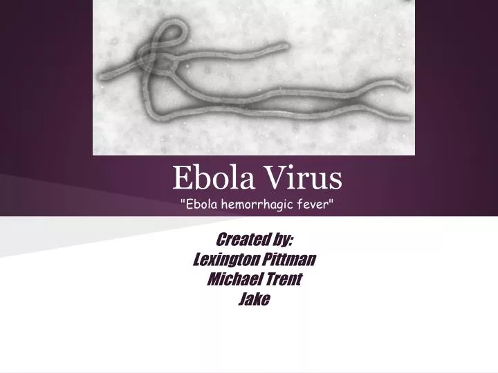 ebola virus ebola hemorrhagic fever