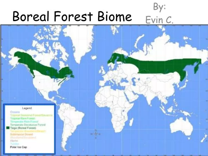 boreal forest biome