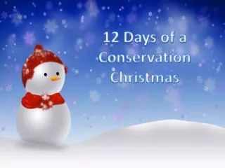 12 Days of a Conservation Christmas