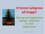 2012 vi tenner julegrana p brygga - slide 1