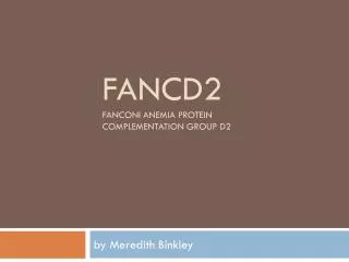 Fancd2 Fanconi anemia protein complementation group d2