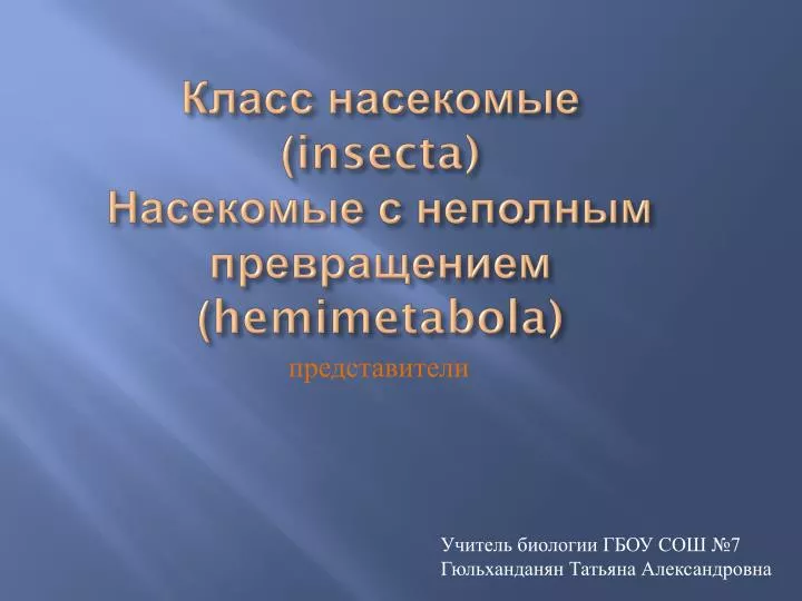 insecta hemimetabola