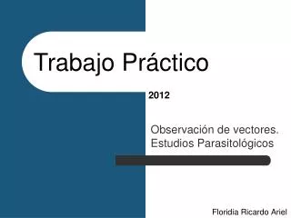 trabajo pr ctico