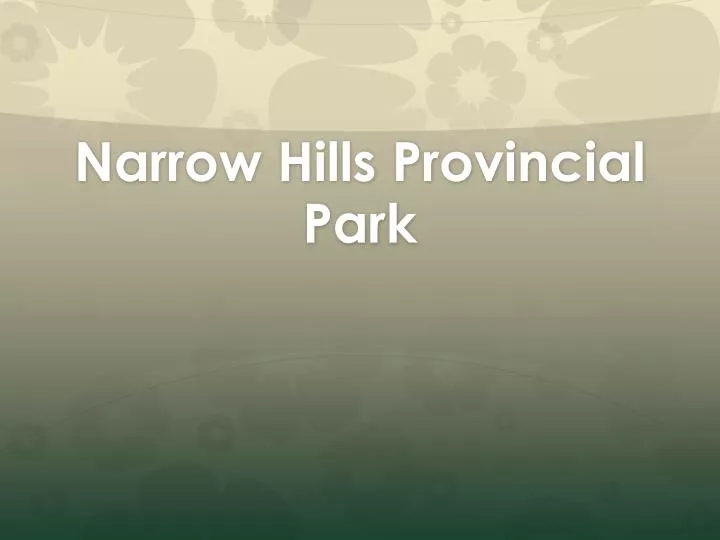 narrow hills provincial park