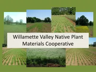 Willamette Valley Native Plant Materials Cooperative