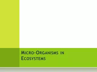 Micro-Organisms in Ecosystems