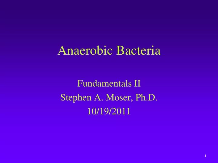 anaerobic bacteria