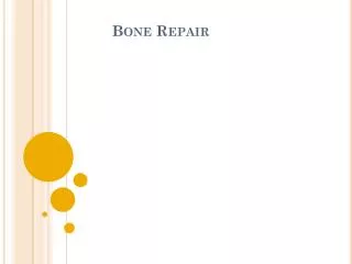 Bone Repair