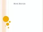 Bone Repair - slide 1