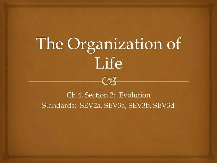 the organization of life