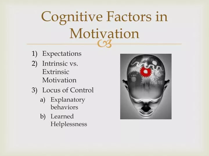cognitive factors in motivation