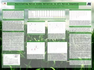 Positioning Maize Knobs Relative to B73 Maize Sequence