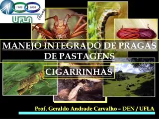 PPT - MANEJO INTEGRADO DE PLAGAS PowerPoint Presentation, Free Download ...