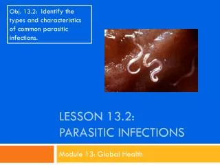 Lesson 13.2: Parasitic Infections