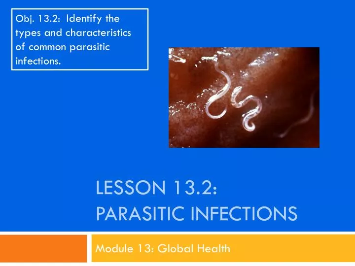 lesson 13 2 parasitic infections