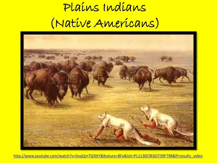 plains indians native americans