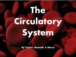 The Circulatory System