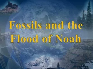 Fossils and the Flood of Noah