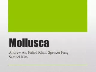 Mollusca