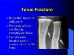 Torus Fracture - slide 1