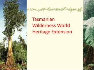 Tasmanian Wilderness World Heritage Extension