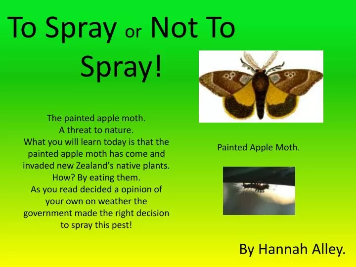 to spray or not t o spray