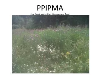 PPIPMA Pine Pass Invasive Plant Management Area