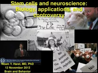 Stem cells and neuroscience: Biology, applications, and controversy
