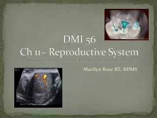 DMI 56 Ch 11~ Reproductive System