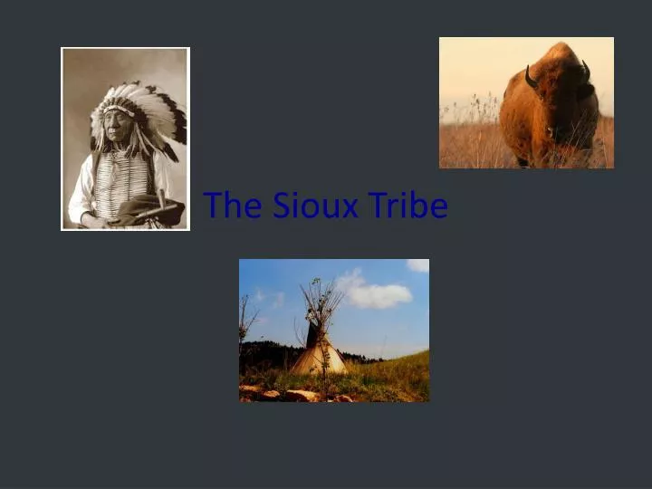 the sioux tribe