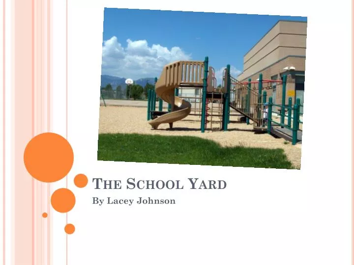 the school yard