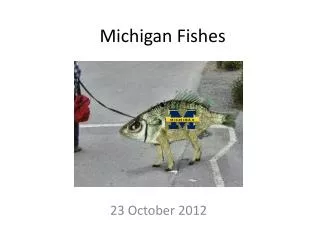 Michigan Fishes