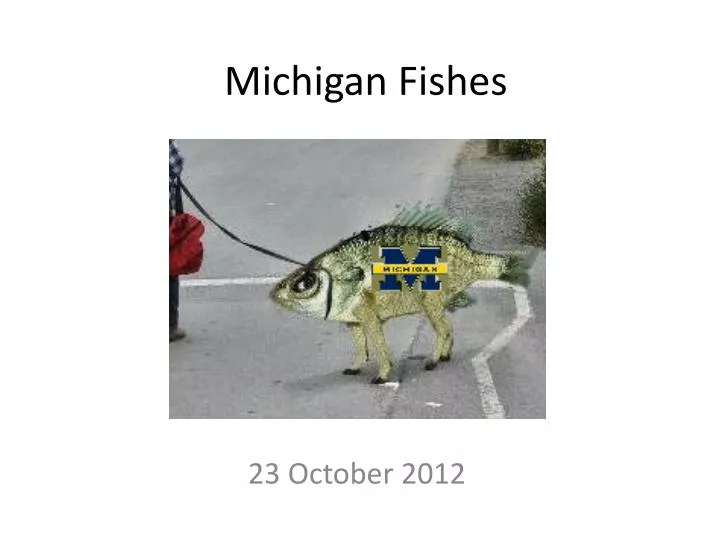 michigan fishes