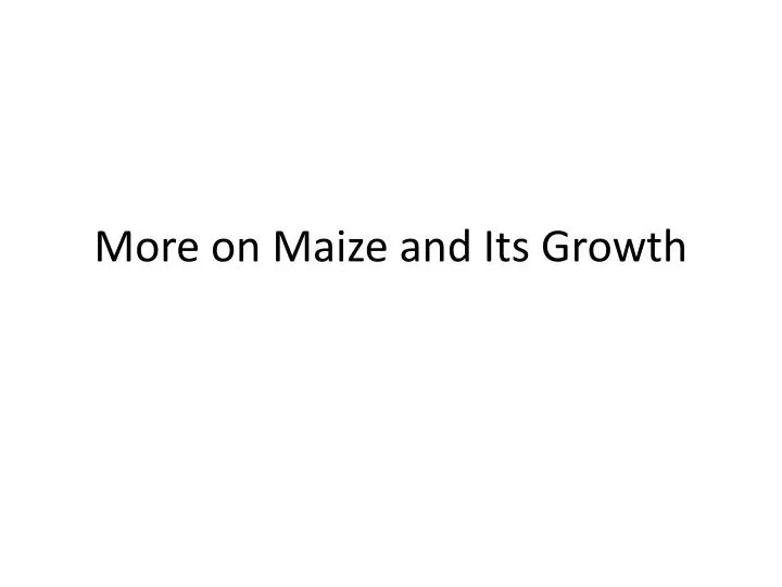 more on maize and its growth