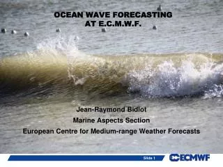 OCEAN WAVE FORECASTING AT E.C.M.W.F.