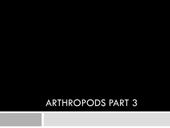 arthropods part 3