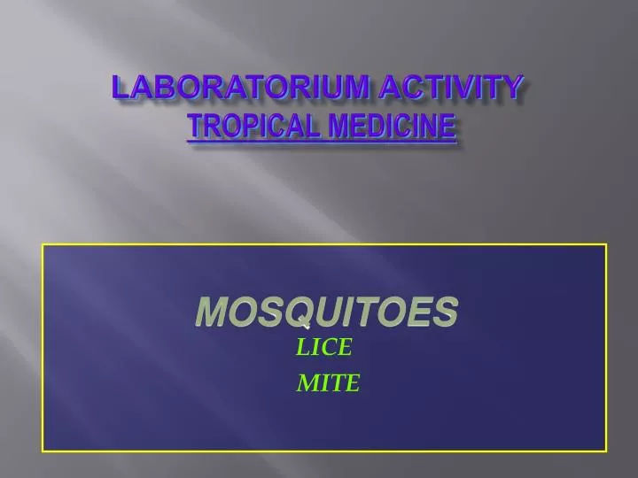 laboratorium activity tropical medicine