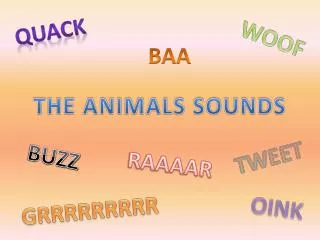 THE ANIMALS SOUNDS