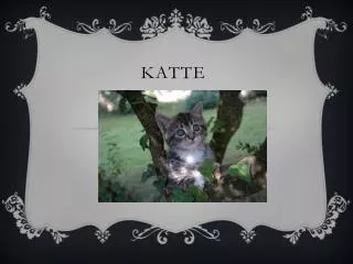 katte