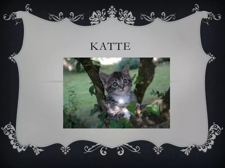 katte