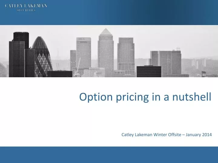 option pricing in a nutshell