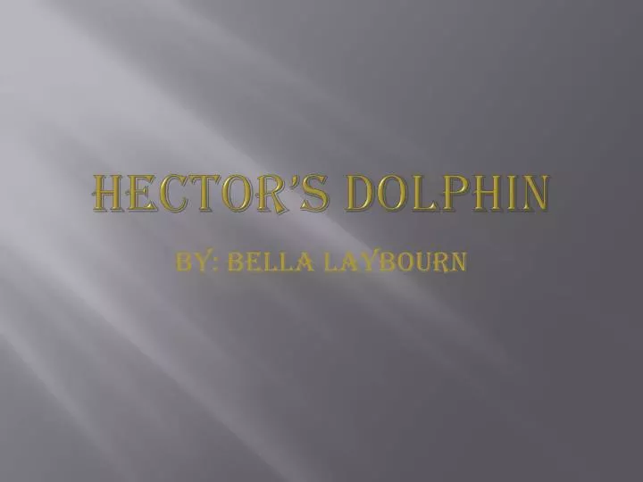 hector s dolphin