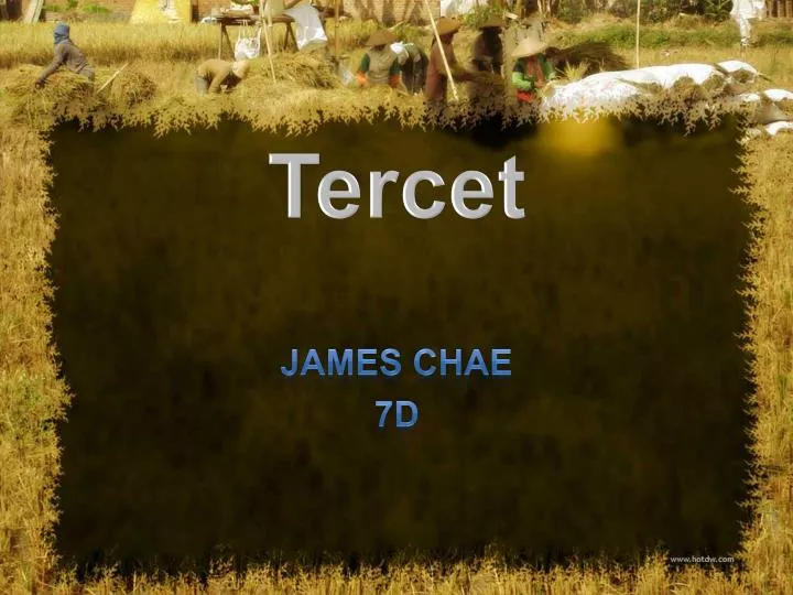 tercet